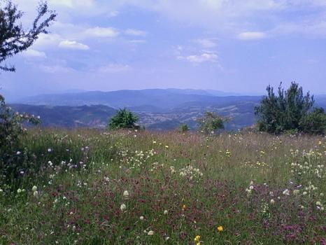 Parcela na Staroj planini, 18 hektara