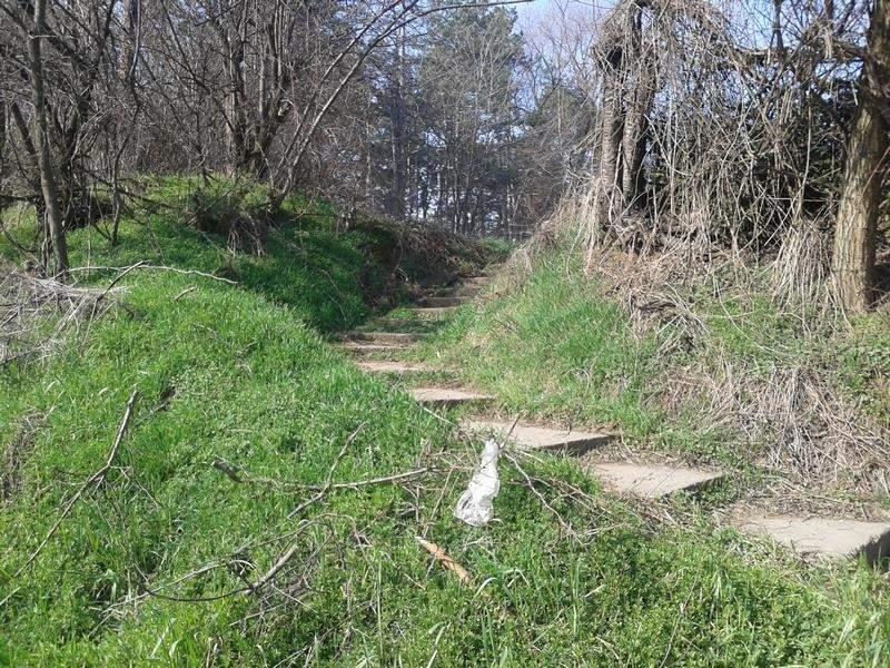 Plac-u-Jagodini