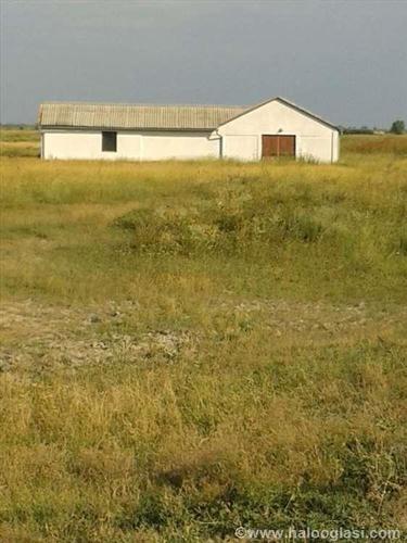 Farma i Zemlja