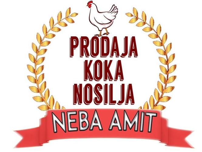 Koka nosilja 