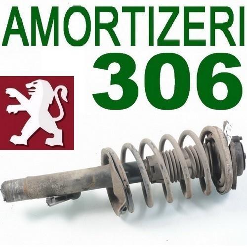 Amortizeri 306