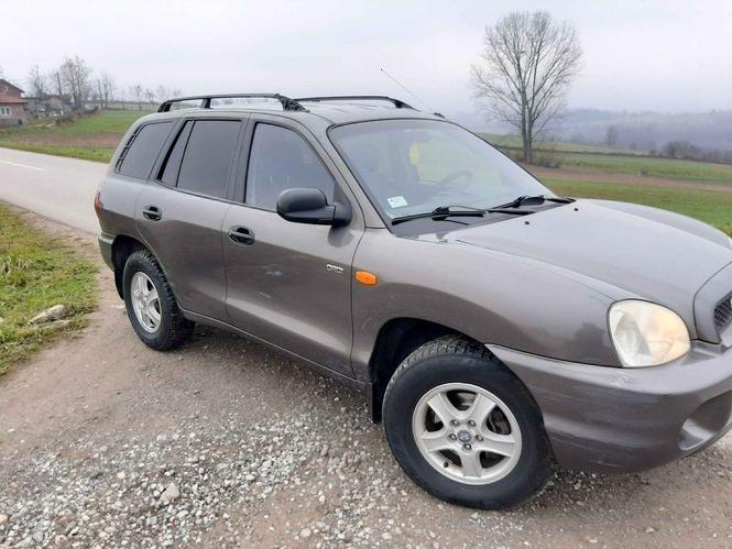 Dzip santafe
