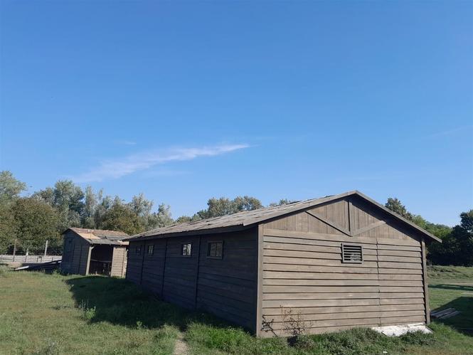BARAKA NA PRODAJU