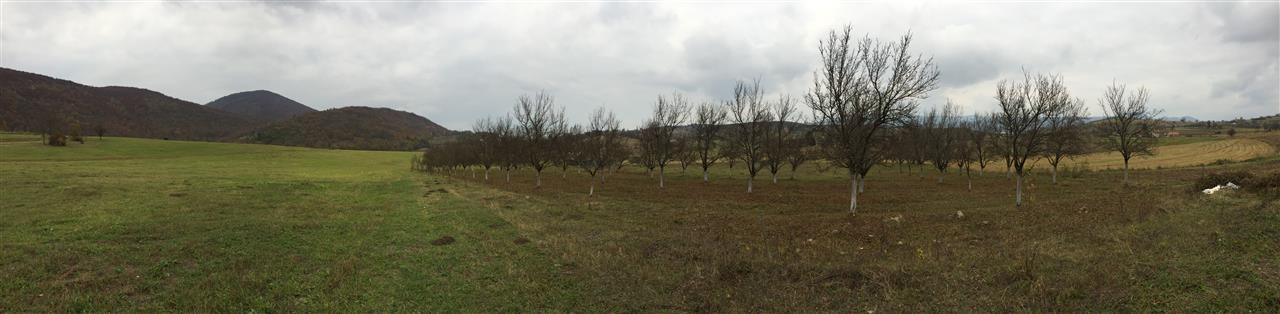 prodaja-placa