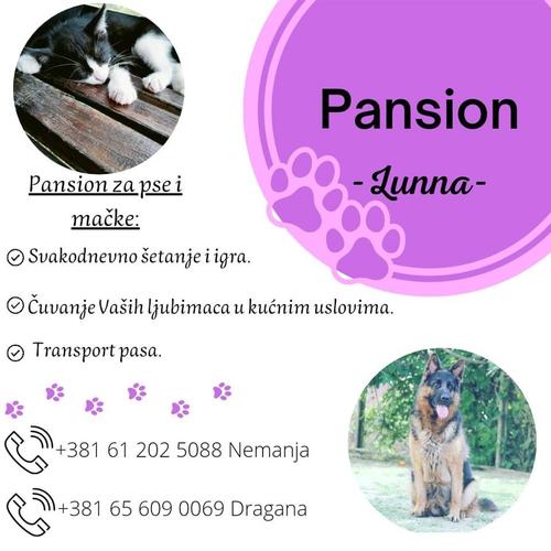 Pansion za pse i mačke 