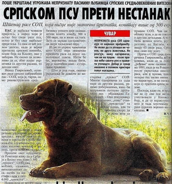 Srpski-odbrambeni-pas