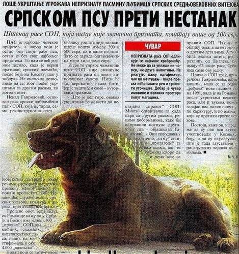 Srpski odbrambeni pas