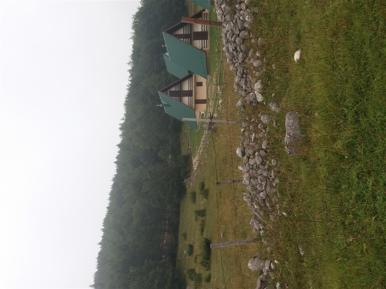 Zabljak-Moticki-Gaj