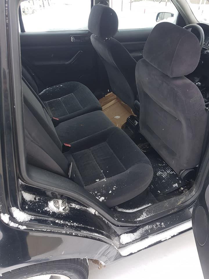 Golf-4