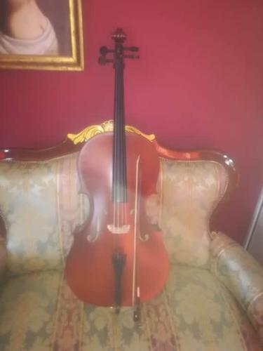 Violoncelo