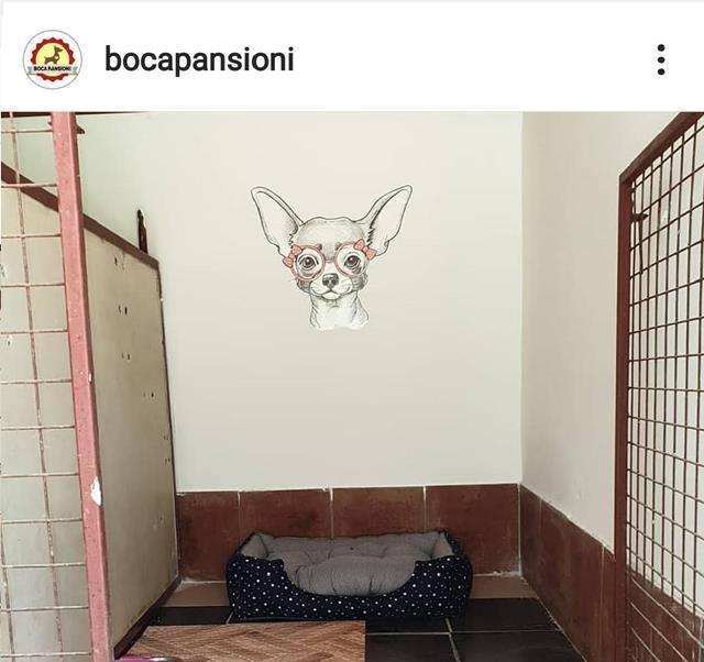 Pansioni-za-pse-Boca