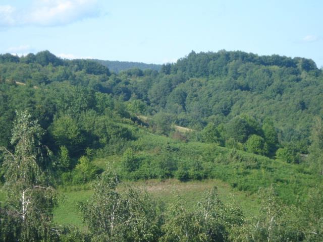 Imanje-u-Vojnić---Kusaja