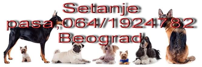 Setanje pasa