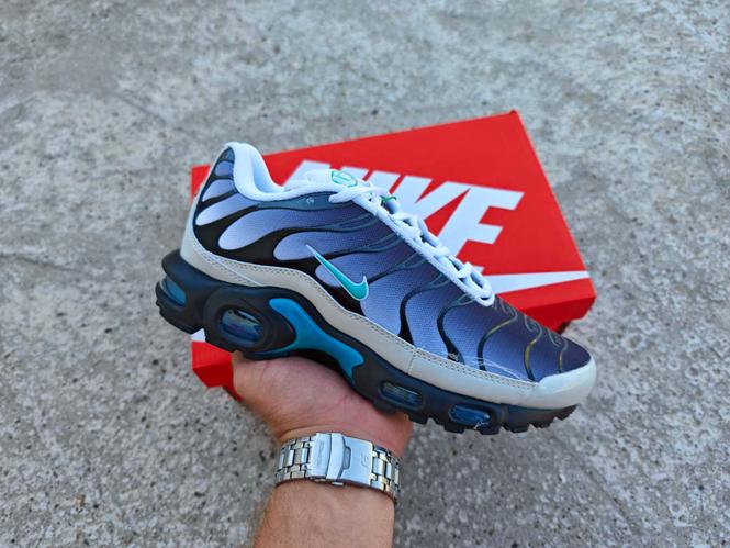 Nike Air Max Plus TN Reverse Pack