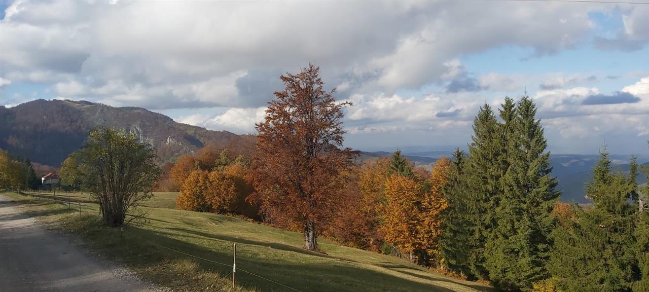 Placevi-Debelo-Brdo---Povlen