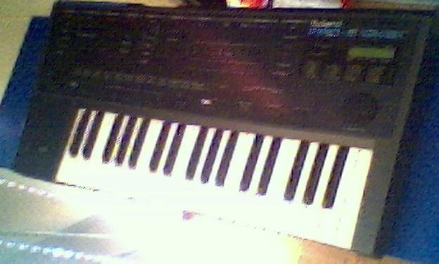 Roland PRO-E