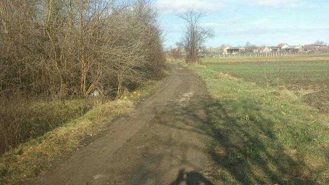 Plac--Petrovcic--Surcin