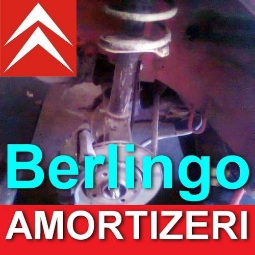 Amortizeri Berlingo