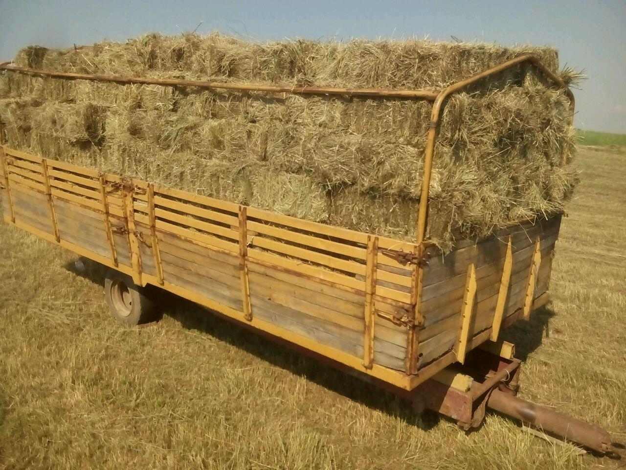 Balirano-seno-u-Vraniću