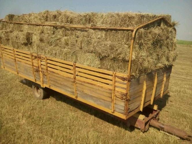 Balirano seno u Vraniću