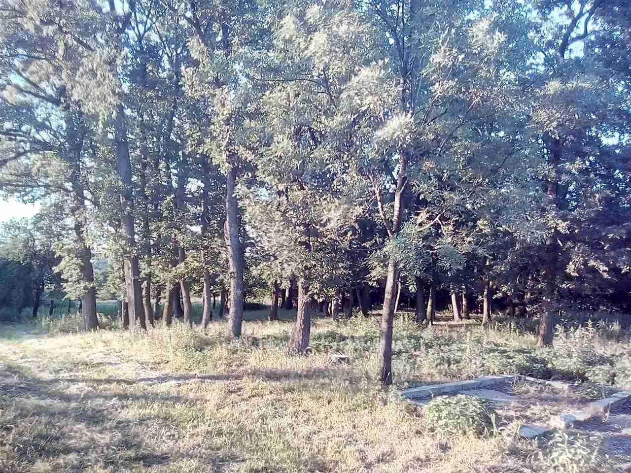 Cerova-Suma-