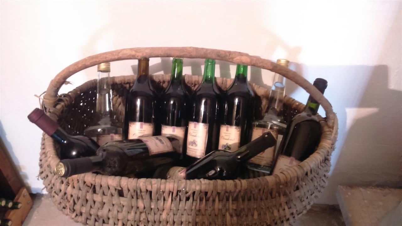 Vino-domace