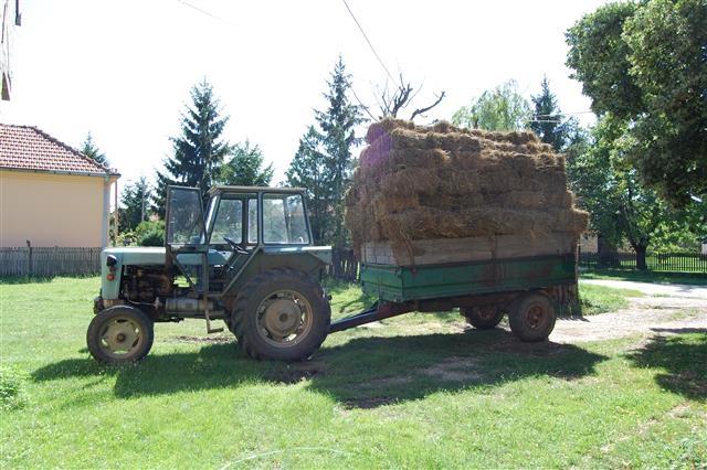 Seno extra kvaliteta