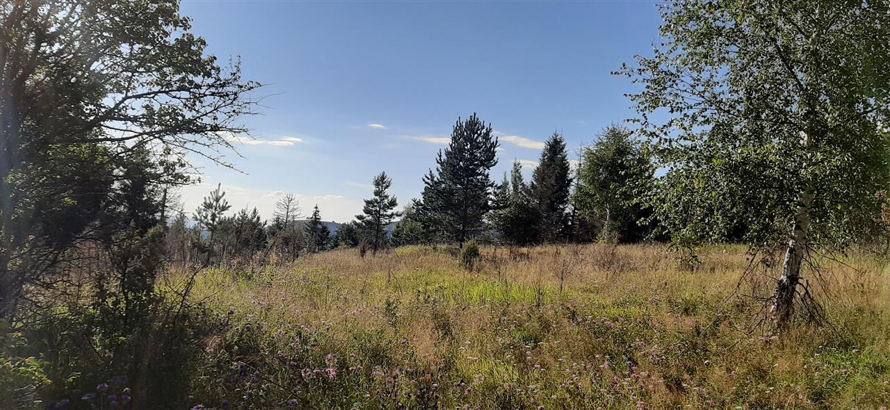 Zlatar-planina