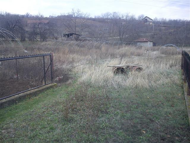 Placeve