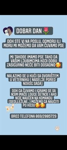 čuvanje malih pasa