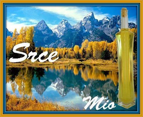 Srce