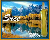 Srce