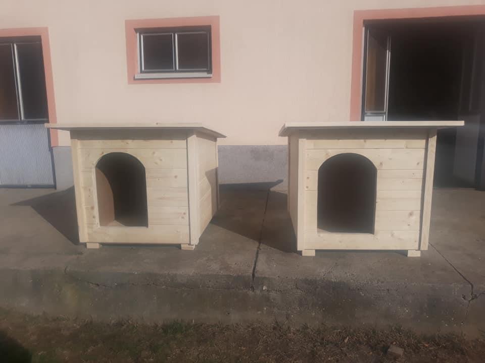 Kucice-za-pse