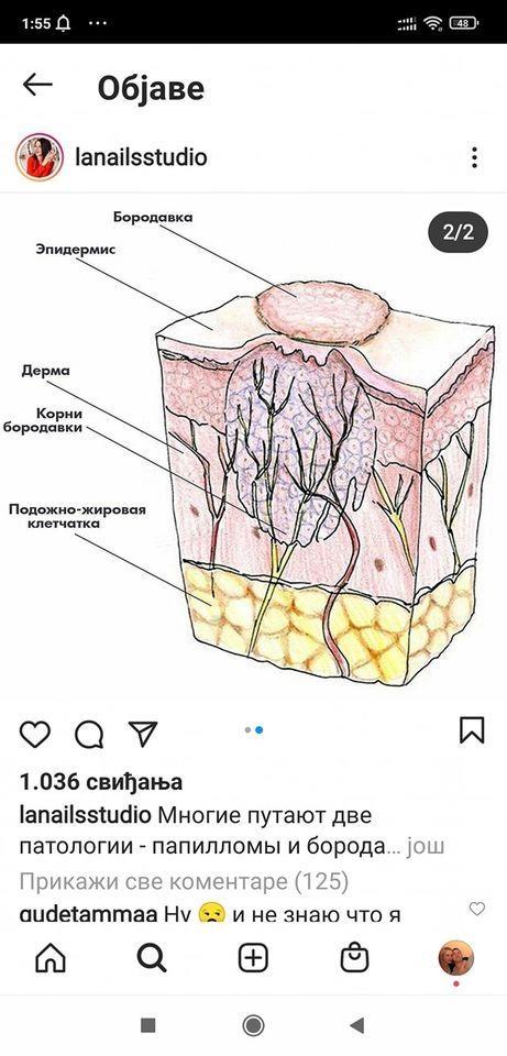 Flasteri
