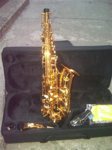 Sax-alt-nov-sa-koferom