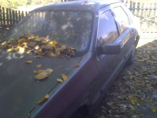 Ford-Sierra---86