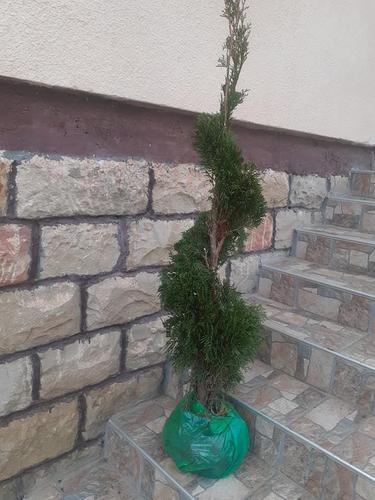 Ukrasavanje dvorista