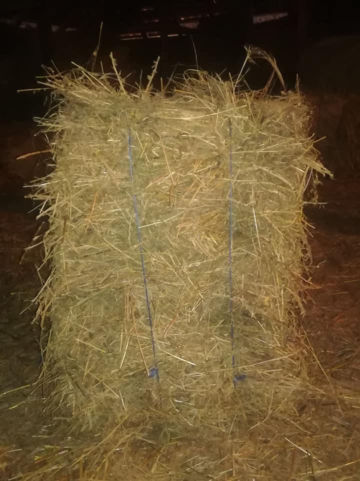 Balirano-seno