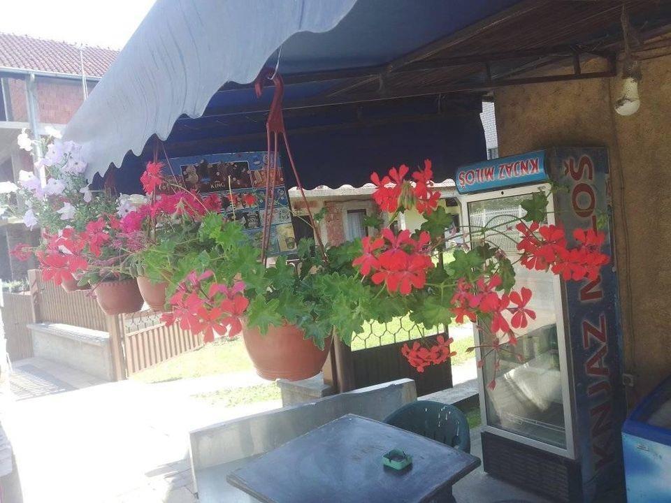 Rasadnik-DuDa-garden