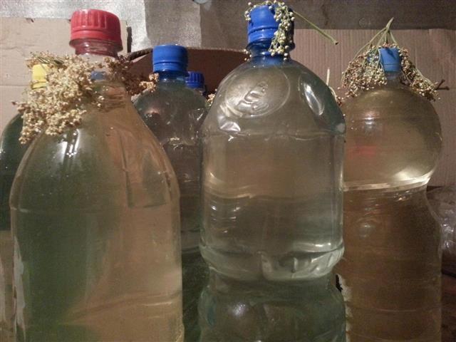 Sirup-od-zove