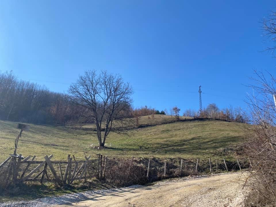 Livada-na-prodaju