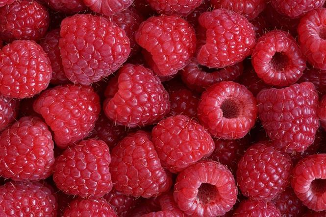 Berba maline