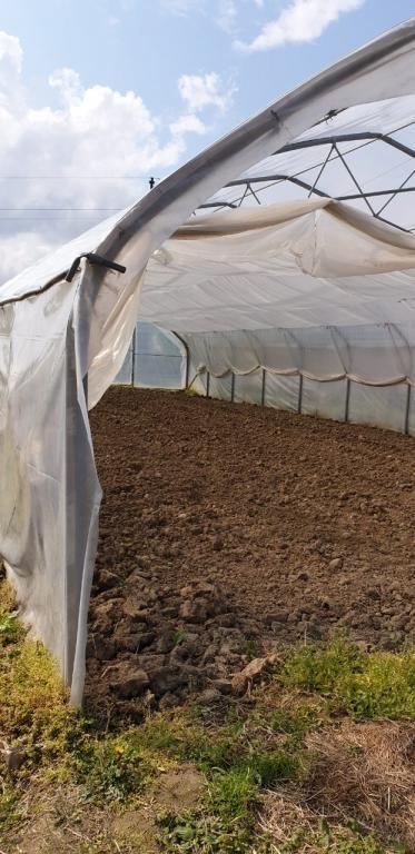 Prodajem-plastenik