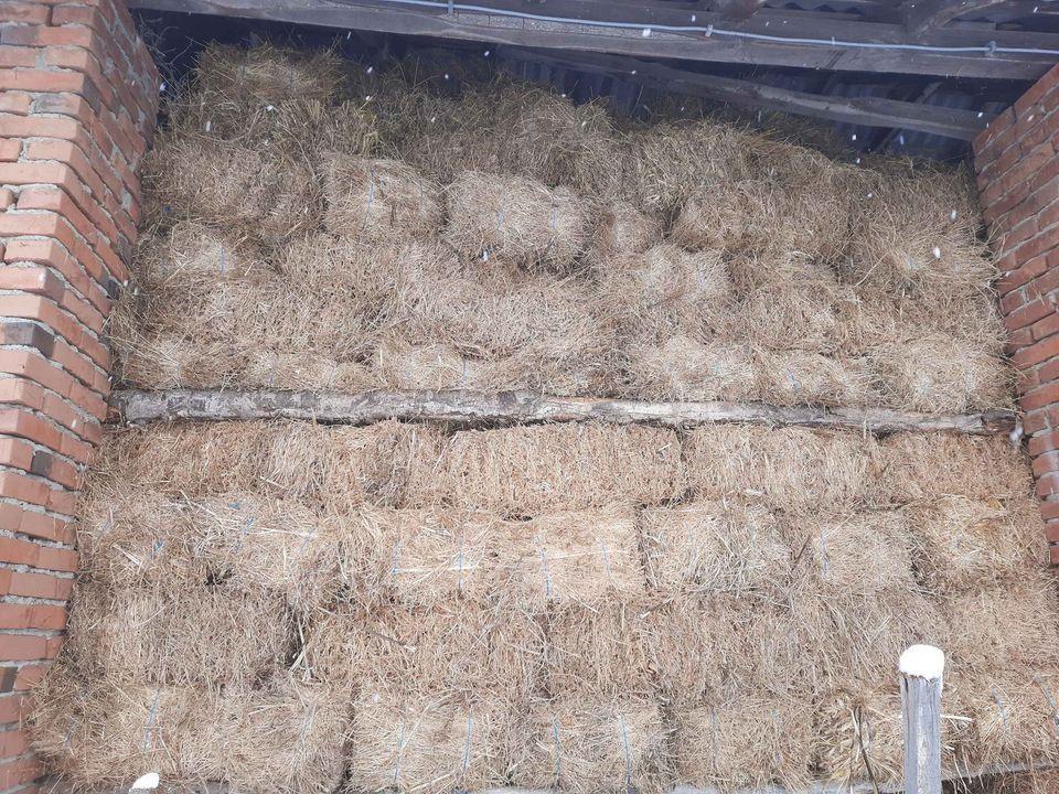Bale-lucerke-0643059430