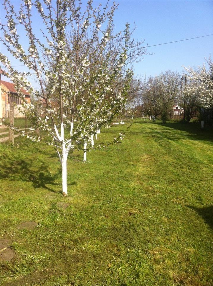 Kuća-na-Jabučkom-putu