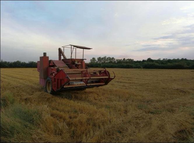 Kombajn Zmaj 131