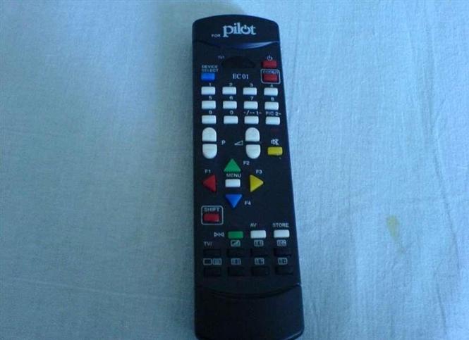 Pilot
