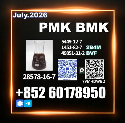 CAS 28578-16-7 New PMK BMK dependable quality