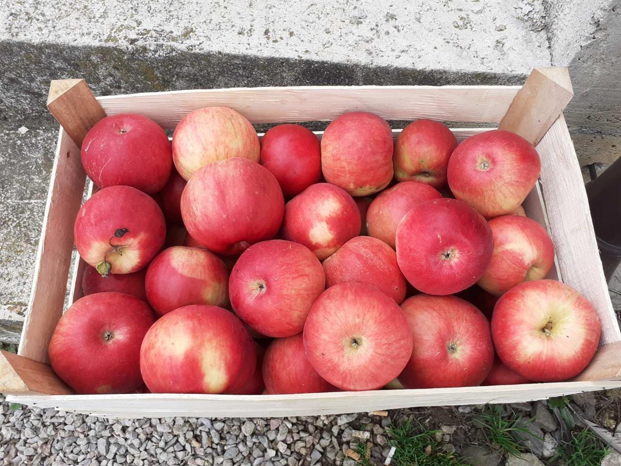Prodaja-jabuke