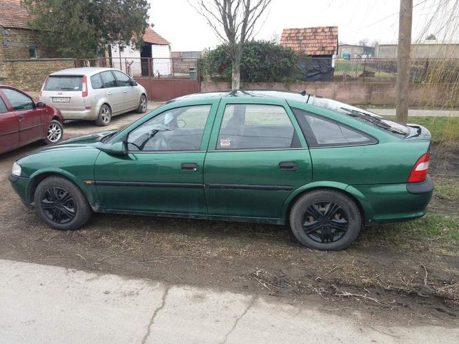 Vectra B